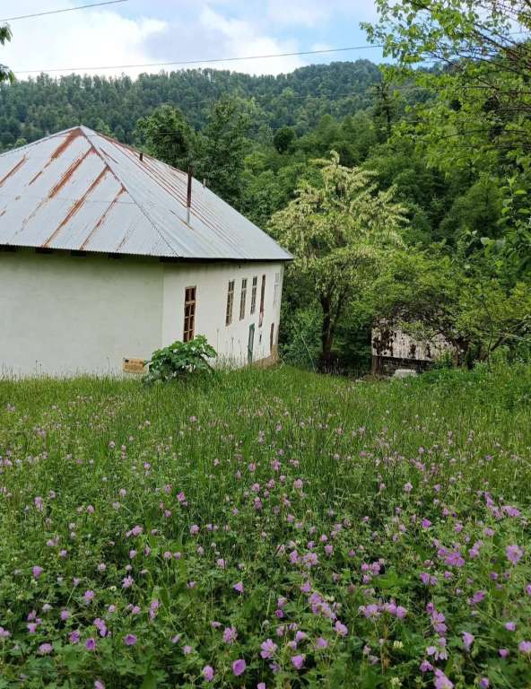 Astara Sım Ruzi_guesthouse, Sym, Azerbaycan günlük kirayə Həyət evi / Villa 135 AZN-a 4 otaqlı Astara Sım Ruzi_guesthouse, Sym, Azerbaycan günlük kirayə Həyət evi / Villa 135 AZN-a 4 otaqlı