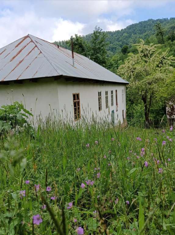 Astara Sım Ruzi_guesthouse, Sym, Azerbaycan günlük kirayə Həyət evi / Villa 135 AZN-a 4 otaqlı Astara Sım Ruzi_guesthouse, Sym, Azerbaycan günlük kirayə Həyət evi / Villa 135 AZN-a 4 otaqlı