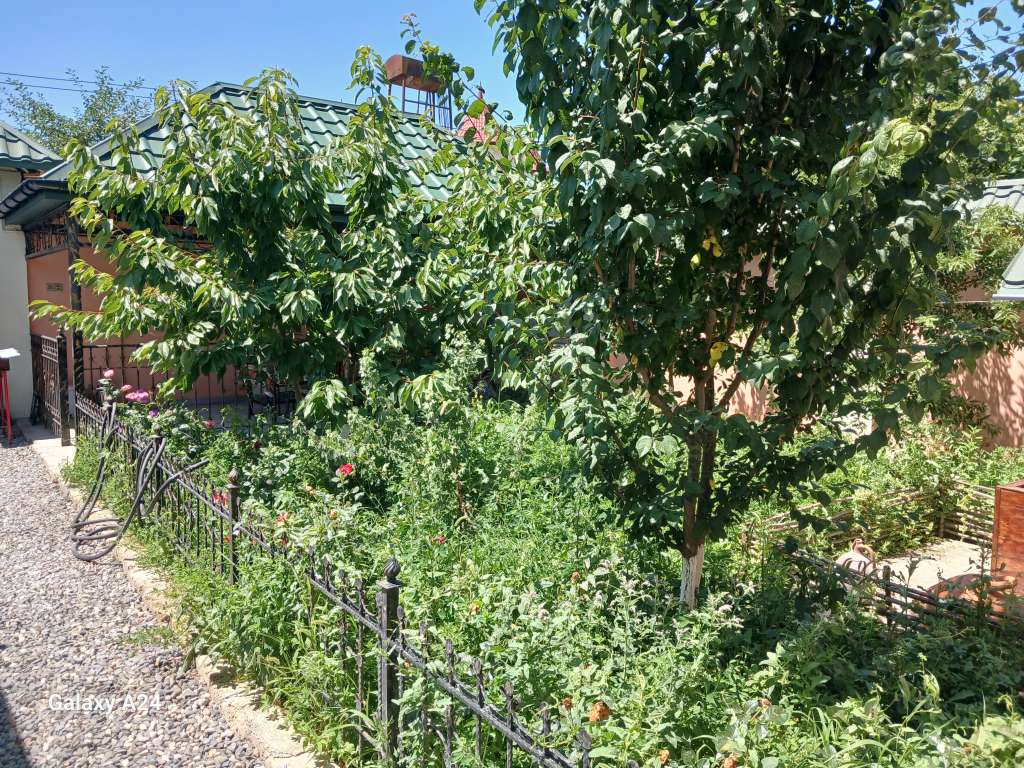 Quba 2 ci Nügədi, Губа, Азербайджан günlük kirayə Həyət evi / Villa 70 AZN-a 2 otaqlı Quba 2 ci Nügədi, Губа, Азербайджан günlük kirayə Həyət evi / Villa 70 AZN-a 2 otaqlı