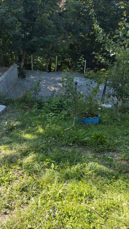 Quba Quba, Quba, Azerbaycan günlük kirayə Həyət evi / Villa 130 AZN-a 2 otaqlı Quba Quba, Quba, Azerbaycan günlük kirayə Həyət evi / Villa 130 AZN-a 2 otaqlı