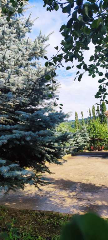 Qusar Yuxarı Ləgər, Qusar, Azerbaijan günlük kirayə Həyət evi / Villa 150 AZN-a 3 otaqlı Qusar Yuxarı Ləgər, Qusar, Azerbaijan günlük kirayə Həyət evi / Villa 150 AZN-a 3 otaqlı