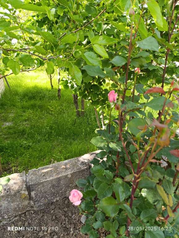 Quba 897H+CP Qechresh, Azərbaycan günlük kirayə Həyət evi / Villa 80 AZN-a 3 otaqlı Quba 897H+CP Qechresh, Azərbaycan günlük kirayə Həyət evi / Villa 80 AZN-a 3 otaqlı