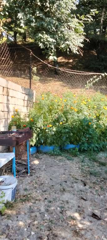 İsmayıllı Q6GQ+8V Sədiyan, Azerbaycan günlük kirayə Mənzil 100 AZN-a 3 otaqlı