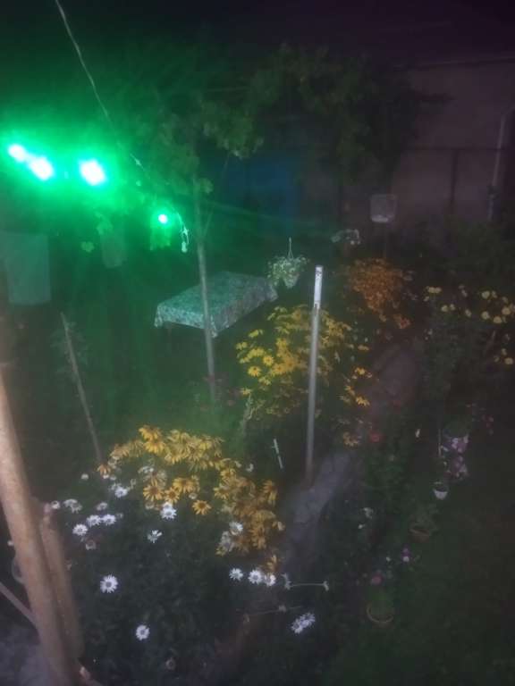 Qax Ağçay, Азербайджан günlük kirayə Həyət evi / Villa 80 AZN-a 3 otaqlı