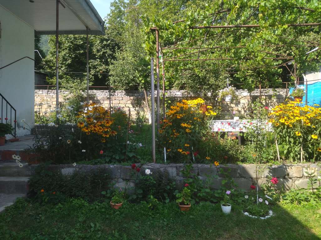 Qax Ağçay, Азербайджан günlük kirayə Həyət evi / Villa 80 AZN-a 3 otaqlı