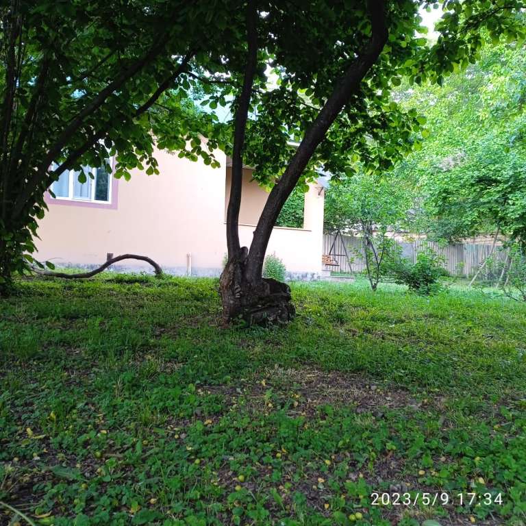 İsmayıllı Xanagah, İsmayıllı, Азербайджан günlük kirayə Həyət evi / Villa 70 AZN-a 3 otaqlı İsmayıllı Xanagah, İsmayıllı, Азербайджан günlük kirayə Həyət evi / Villa 70 AZN-a 3 otaqlı