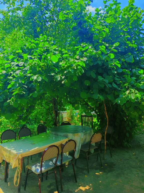 Lerik Hamarmeşə, Lerik, Azərbaycan günlük kirayə Həyət evi / Villa 60 AZN-a 2 otaqlı Lerik Hamarmeşə, Lerik, Azərbaycan günlük kirayə Həyət evi / Villa 60 AZN-a 2 otaqlı