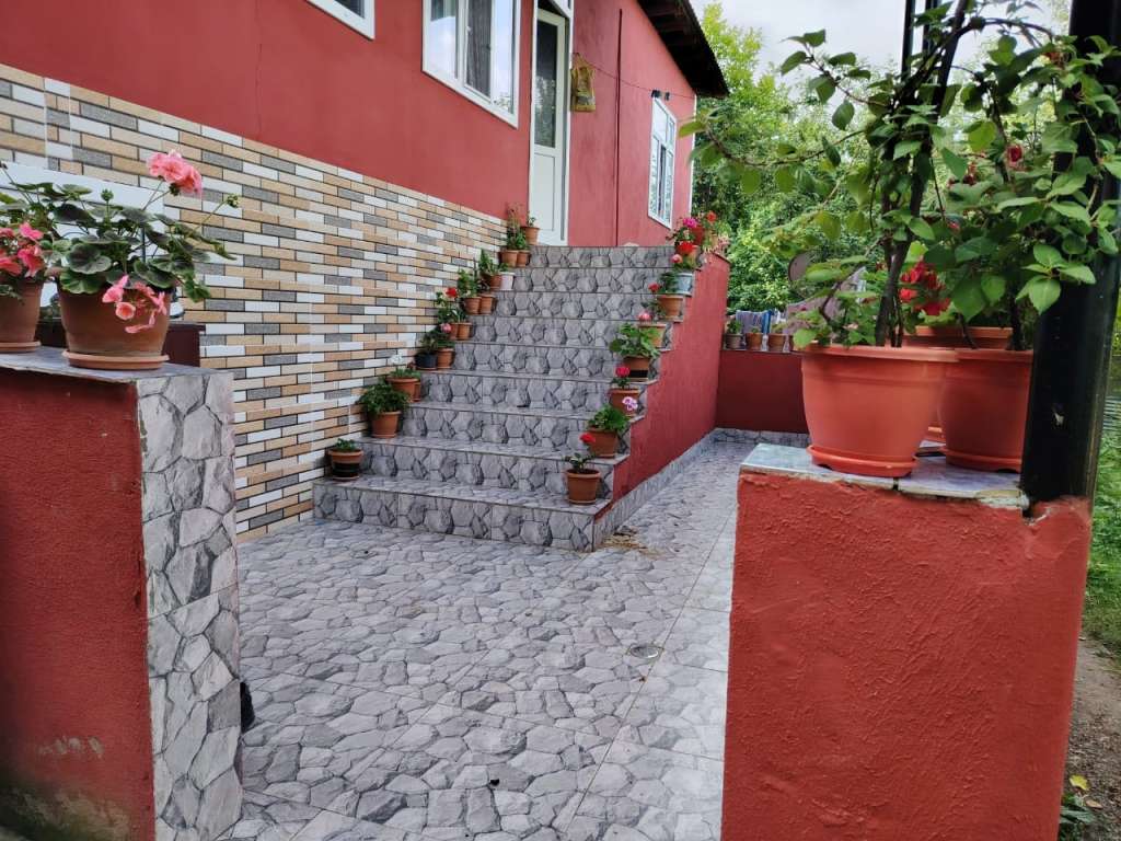 Qəbələ XXH2+P44, Vəndam, Azərbaycan Azərbaycanda günlük kirayə Həyət evi / Villa 60 AZN-a 3 otaqlı