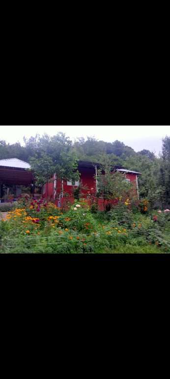 Qəbələ XXH2+P44, Vəndam, Azərbaycan günlük kirayə Həyət evi / Villa 60 AZN-a 3 otaqlı Qəbələ XXH2+P44, Vəndam, Azərbaycan günlük kirayə Həyət evi / Villa 60 AZN-a 3 otaqlı