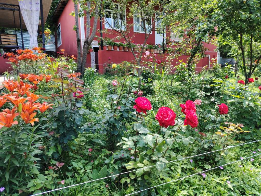 Qəbələ XXH2+P44, Vəndam, Azərbaycan günlük kirayə Həyət evi / Villa 60 AZN-a 3 otaqlı Qəbələ XXH2+P44, Vəndam, Azərbaycan günlük kirayə Həyət evi / Villa 60 AZN-a 3 otaqlı