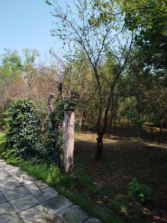 Lənkəran PVQ4+5HW, Sütəmurdov, Azərbaycan günlük kirayə Həyət evi / Villa 90 AZN-a 3 otaqlı Lənkəran PVQ4+5HW, Sütəmurdov, Azərbaycan günlük kirayə Həyət evi / Villa 90 AZN-a 3 otaqlı