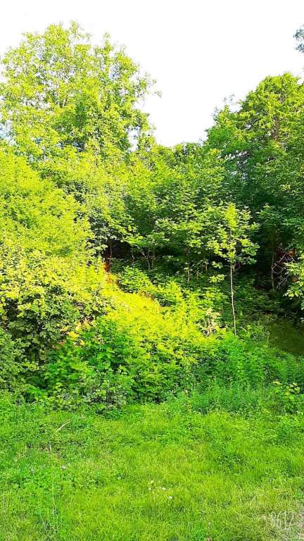 İsmayıllı İsmayıllı Rayonu, Азербайджан günlük kirayə Həyət evi / Villa 70 AZN-a 3 otaqlı İsmayıllı İsmayıllı Rayonu, Азербайджан günlük kirayə Həyət evi / Villa 70 AZN-a 3 otaqlı