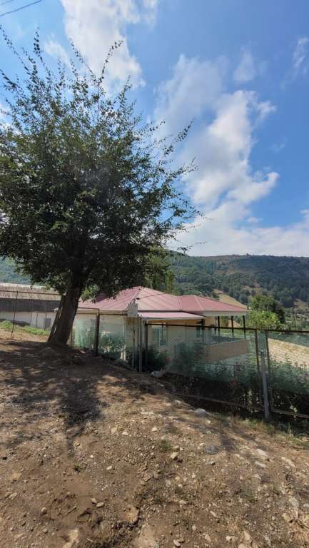 Lerik QGF8+38 Kornədi, Azerbaycan günlük kirayə Həyət evi / Villa 80 AZN-a 3 otaqlı Lerik QGF8+38 Kornədi, Azerbaycan günlük kirayə Həyət evi / Villa 80 AZN-a 3 otaqlı