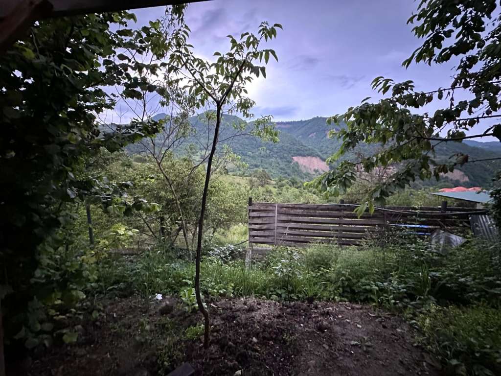 Quba Quba, Азербайджан günlük kirayə Həyət evi / Villa 100 AZN-a 3 otaqlı Quba Quba, Азербайджан günlük kirayə Həyət evi / Villa 100 AZN-a 3 otaqlı
