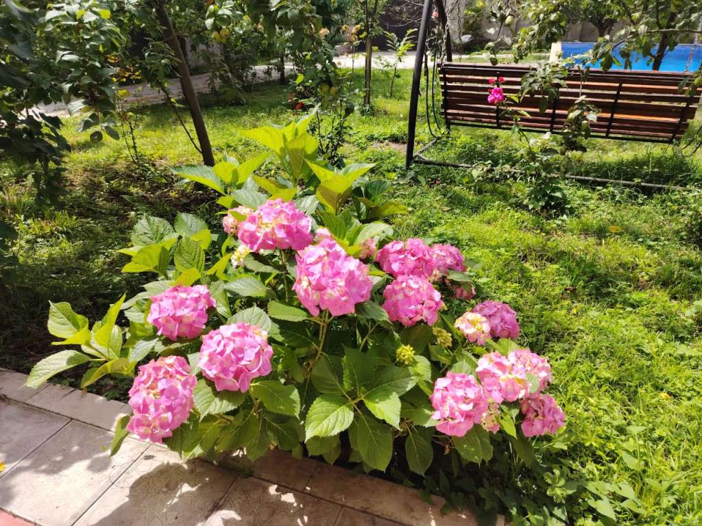 Qəbələ XXP2+PQJ Sədinin Bağı, Piknik yeri, Vandam, Azərbaycan günlük kirayə Həyət evi / Villa 70 AZN-a 3 otaqlı