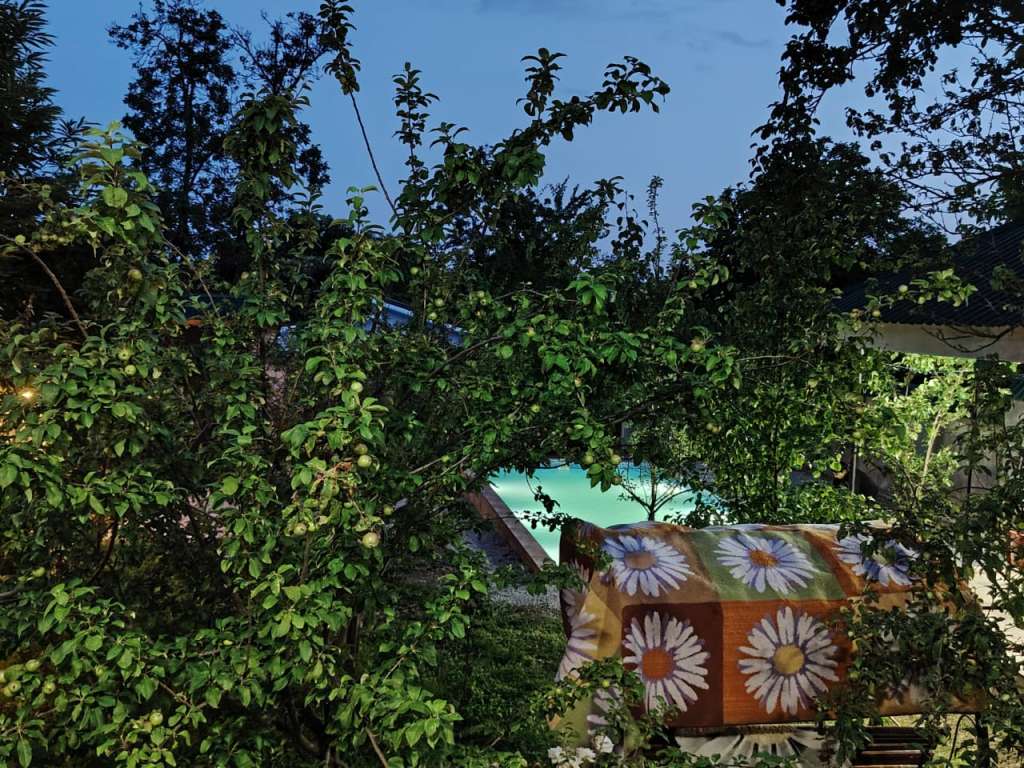 Qəbələ XXP2+PQJ Sədinin Bağı, Piknik yeri, Vandam, Azərbaycan günlük kirayə Həyət evi / Villa 70 AZN-a 3 otaqlı