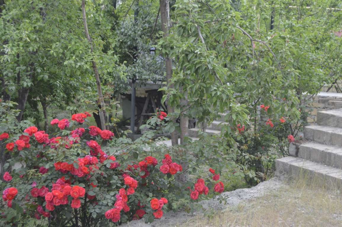 İsmayıllı İsmayıllı Rayonu, Азербайджан günlük kirayə Həyət evi / Villa 150 AZN-a 5 otaqlı