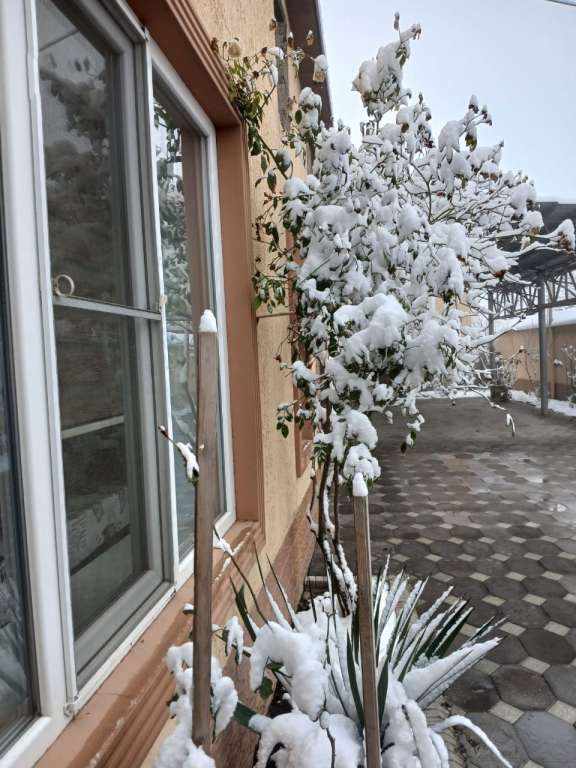 Qusar 144 Haydar Aliyev St, Qusar, Азербайджан günlük kirayə Həyət evi / Villa 70 AZN-a 3 otaqlı