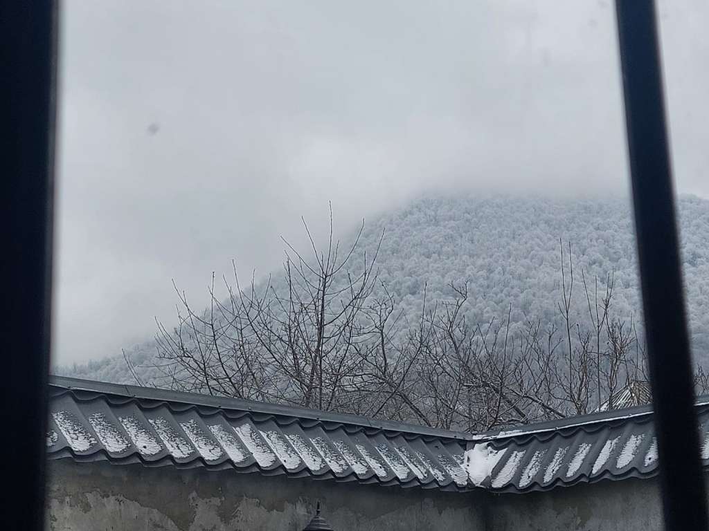 Qəbələ Qəbələ, Азербайджан günlük kirayə Həyət evi / Villa 150 AZN-a 5 otaqlı