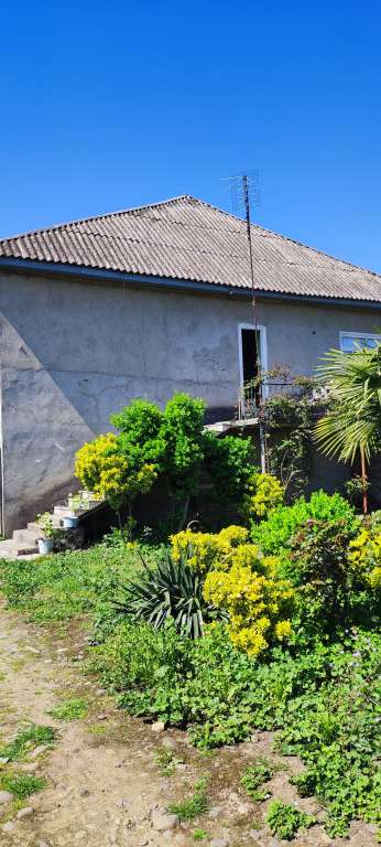 Masallı Masallı rayon pajarni yolu yaxinliginda günlük kirayə Həyət evi / Villa 150 AZN-a 3 otaqlı