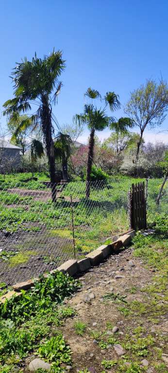 Masallı Masallı rayon pajarni yolu yaxinliginda Azərbaycanda günlük kirayə Həyət evi / Villa 150 AZN-a 3 otaqlı