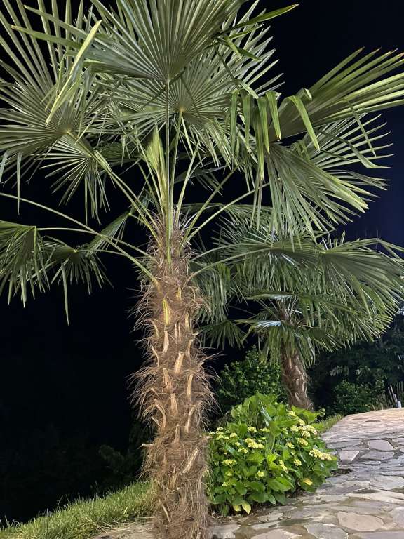 İsmayıllı Q5P4+RVW, İsmayıllı 3100, Azerbaycan günlük kirayə Həyət evi / Villa 190 AZN-a 4 otaqlı