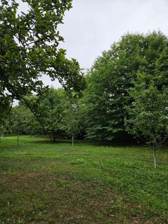 İsmayıllı İsmayıllı, Azerbaycan günlük kirayə Həyət evi / Villa 180 AZN-a 4 otaqlı