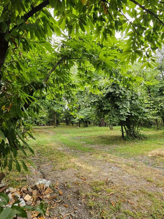 İsmayıllı İsmayıllı, Azerbaycan günlük kirayə Həyət evi / Villa 180 AZN-a 4 otaqlı