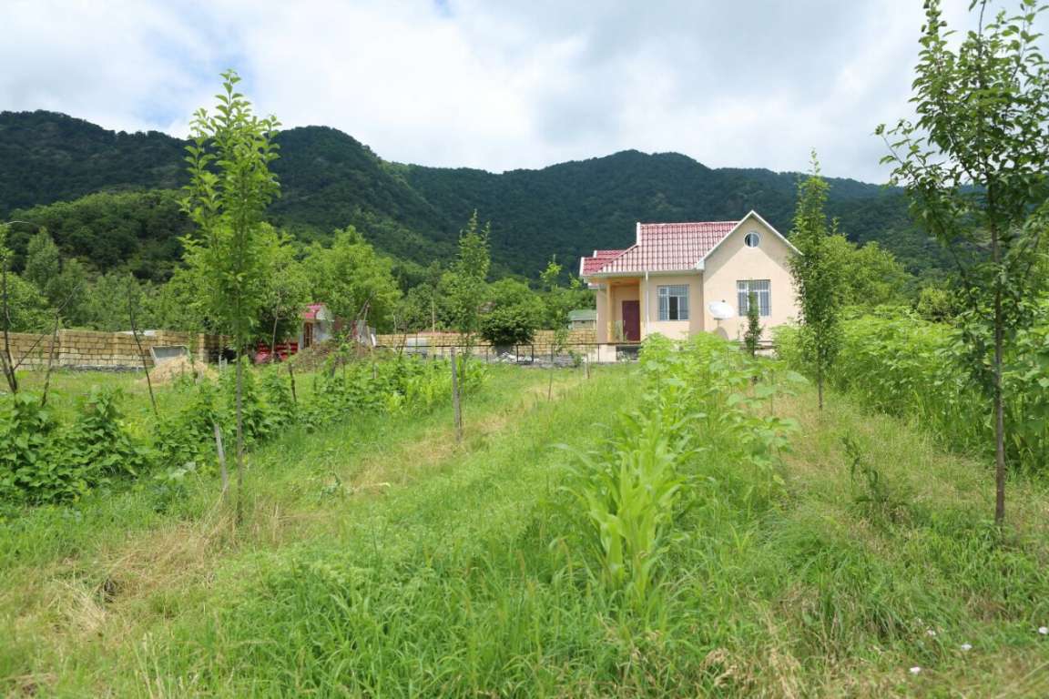 İsmayıllı İsmayıllı, Azerbaycan günlük kirayə Həyət evi / Villa 80 AZN-a 3 otaqlı