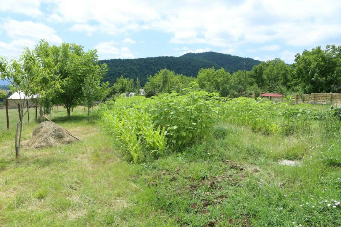 İsmayıllı İsmayıllı, Azerbaycan günlük kirayə Həyət evi / Villa 80 AZN-a 3 otaqlı