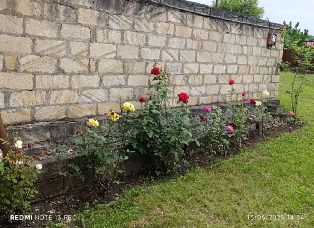 Quba 897H+CP Qechresh, Azərbaycan günlük kirayə Həyət evi / Villa 70 AZN-a 3 otaqlı