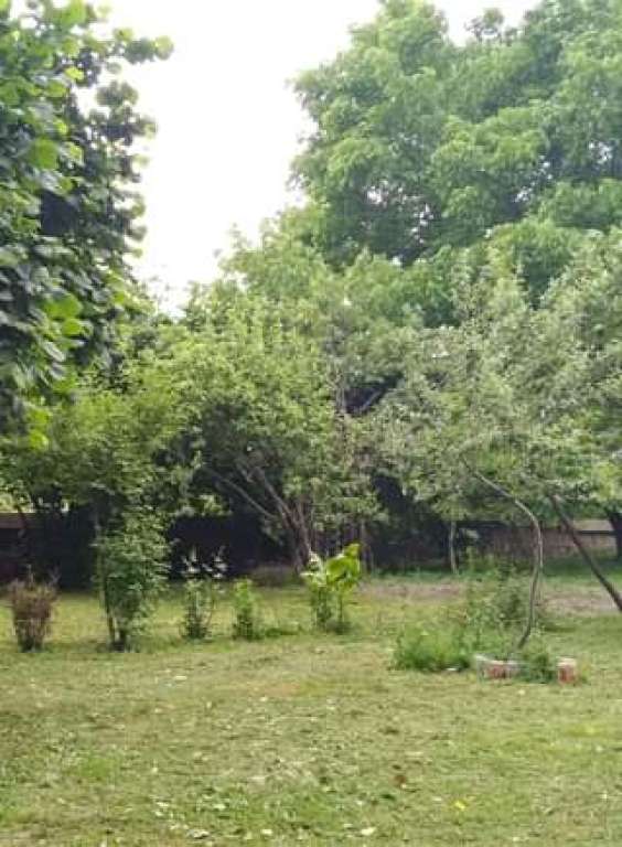 Qəbələ Vəndamçay Körpüsü, Qaramaryam-Ismayilli-Shaki Highway, Azərbaycan günlük kirayə Həyət evi / Villa 50 AZN-a 3 otaqlı