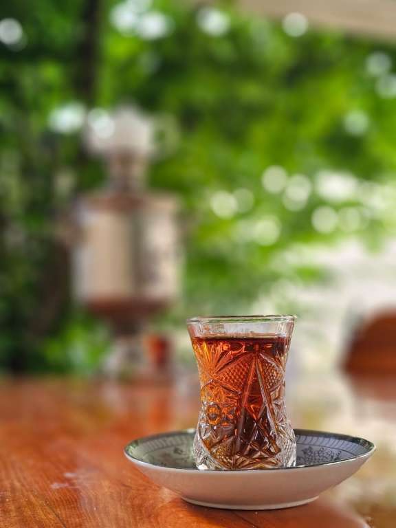 Qəbələ qəbələ günlük kirayə Həyət evi / Villa 60 AZN-a 2 otaqlı