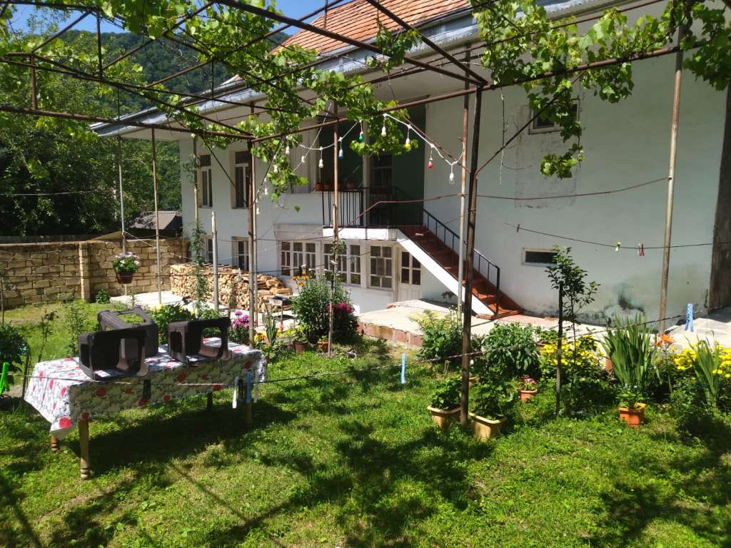Qax Ağçay, Азербайджан Azərbaycanda günlük kirayə Həyət evi / Villa 80 AZN-a 3 otaqlı