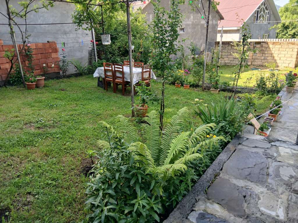 Qax Ağçay, Азербайджан günlük kirayə Həyət evi / Villa 80 AZN-a 3 otaqlı
