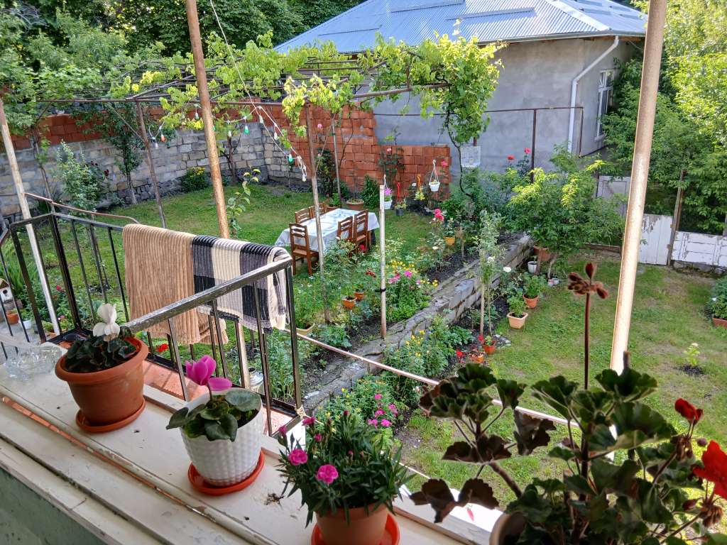 Qax Ağçay, Азербайджан günlük kirayə Həyət evi / Villa 80 AZN-a 3 otaqlı