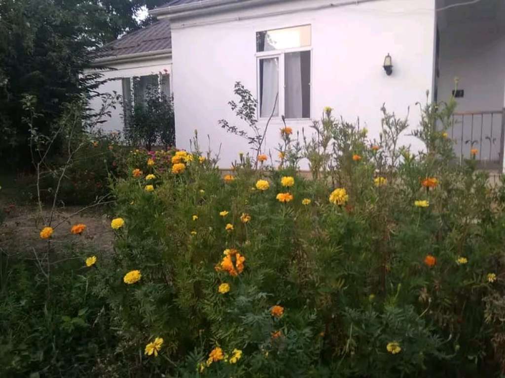 Qusar CCCC+VWF, Fəxrəddin Musayev, Qusar, Azerbaijan günlük kirayə Həyət evi / Villa 70 AZN-a 3 otaqlı