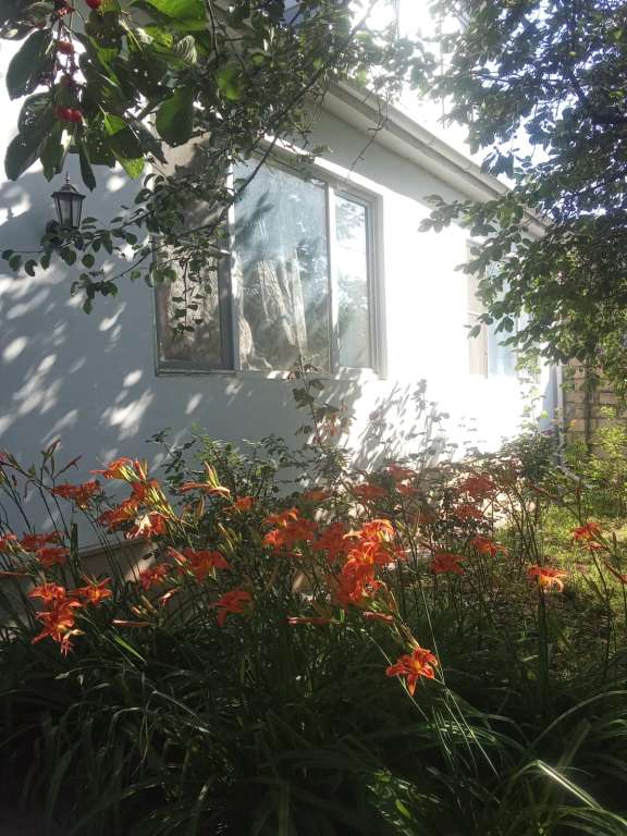Qusar CCCC+VWF, Fəxrəddin Musayev, Qusar, Azerbaijan günlük kirayə Həyət evi / Villa 70 AZN-a 3 otaqlı