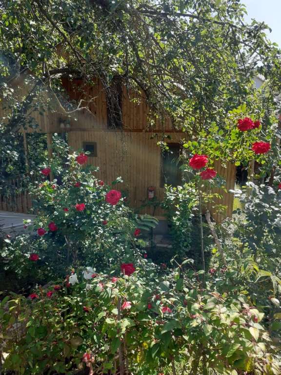 Quba Quba, Азербайджан günlük kirayə Həyət evi / Villa 100 AZN-a 3 otaqlı