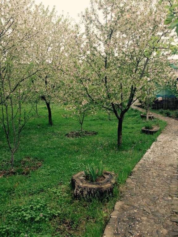 Quba Quba, Азербайджан günlük kirayə Həyət evi / Villa 90 AZN-a 2 otaqlı