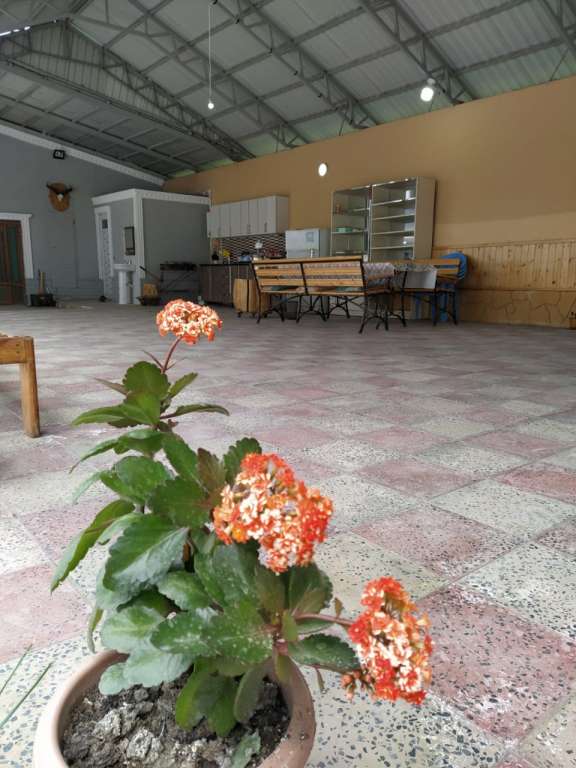 Qəbələ XVW7+FJF, Kebele, Azerbaycan günlük kirayə Həyət evi / Villa 200 AZN-a 4 otaqlı