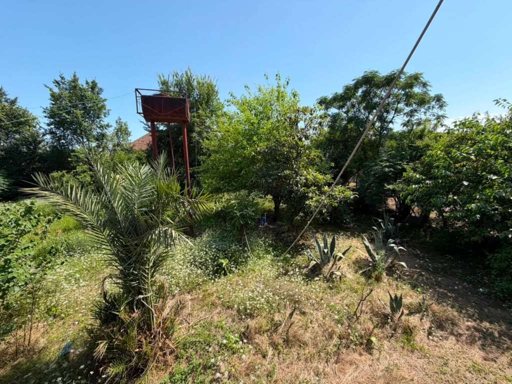 Astara Astara, Азербайджан günlük kirayə Həyət evi / Villa 90 AZN-a 3 otaqlı