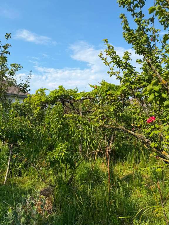 Astara Astara bulvarı, Астара, Азербайджан günlük kirayə Həyət evi / Villa 70 AZN-a 4 otaqlı