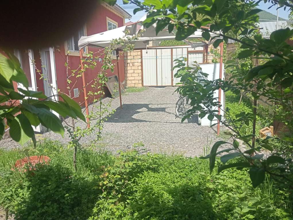 Qəbələ Qəbələ günlük kirayə Həyət evi / Villa 500 AZN-a 3 otaqlı