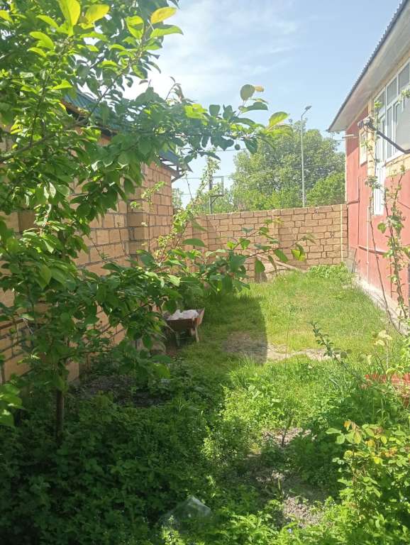 Qəbələ Qəbələ günlük kirayə Həyət evi / Villa 500 AZN-a 3 otaqlı