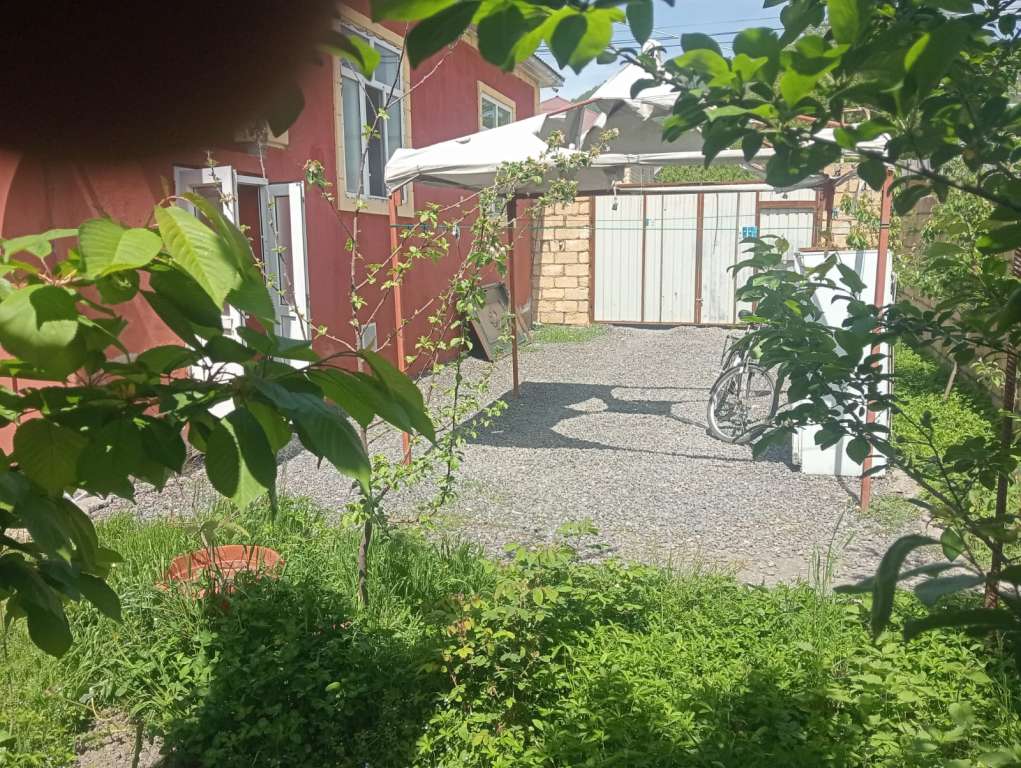 Qəbələ Qəbələ günlük kirayə Həyət evi / Villa 500 AZN-a 3 otaqlı