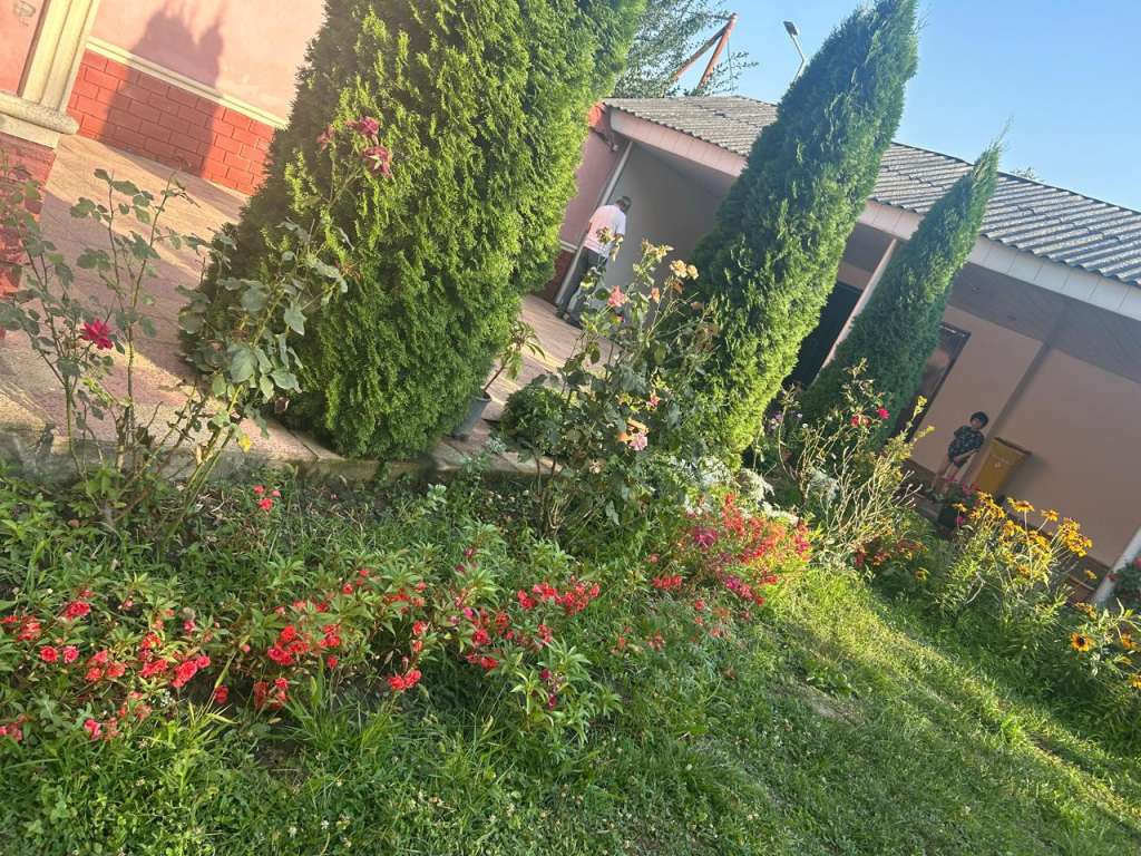Qəbələ Qəbələ günlük kirayə Həyət evi / Villa 140 AZN-a 4 otaqlı