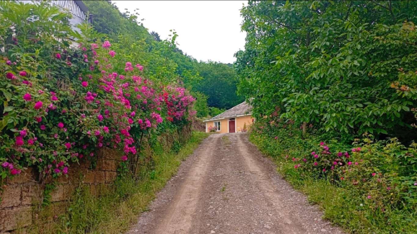 Lerik Sipyəreğon kəndi günlük kirayə Həyət evi / Villa 70 AZN-a 3 otaqlı