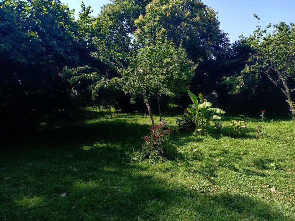 Qəbələ XW3P+R5Q, RD008, Vandam, Azerbaycan günlük kirayə Həyət evi / Villa 50 AZN-a 3 otaqlı