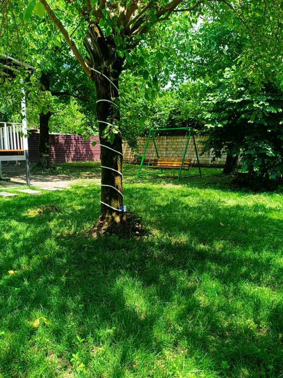 Qəbələ Bum, Qəbələ, Azerbaycan günlük kirayə Həyət evi / Villa 130 AZN-a 4 otaqlı